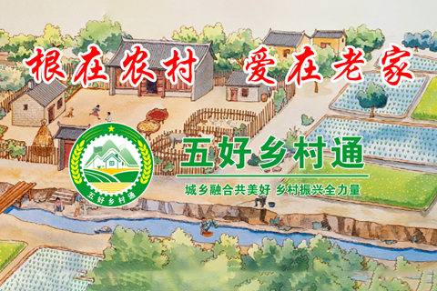 五好乡村通