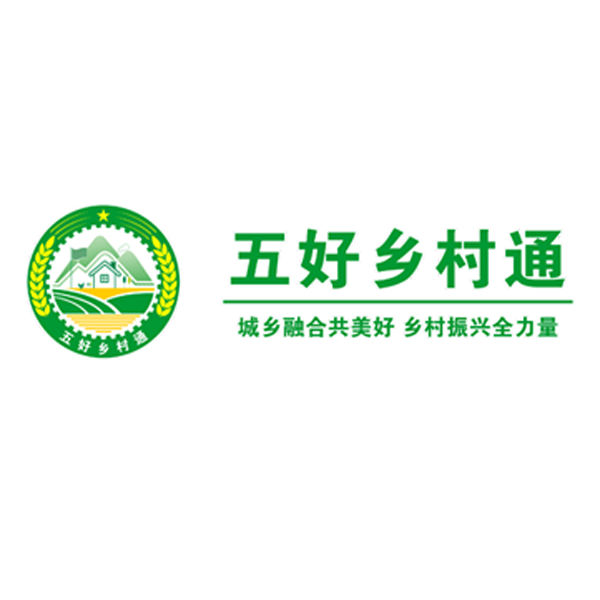 五好乡村通